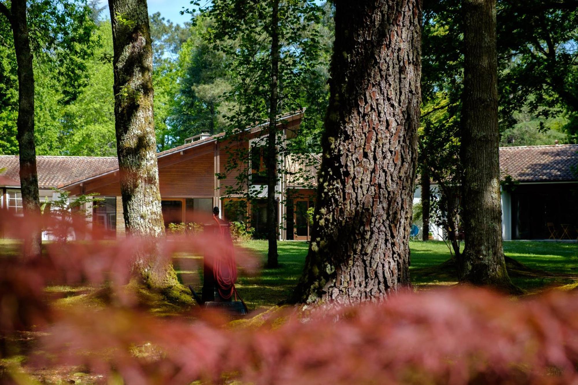 Bed and Breakfast Parc De L'Aiguade Saint-Paul-lès-Dax Exteriér fotografie