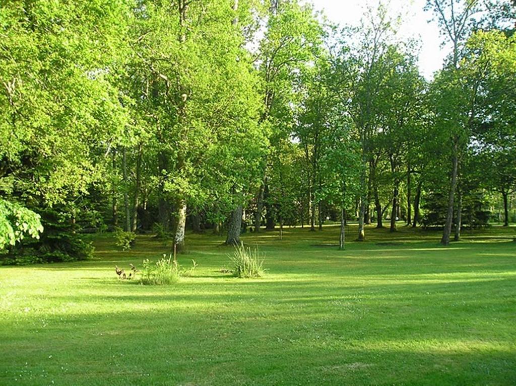 Bed and Breakfast Parc De L'Aiguade Saint-Paul-lès-Dax Pokoj fotografie